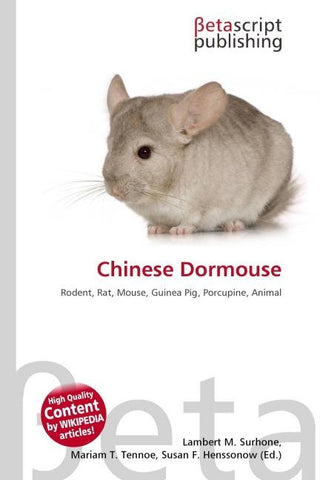 Chinese Dormouse