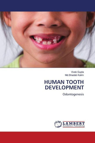 HUMAN TOOTH DEVELOPMENT