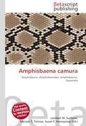 Amphisbaena camura