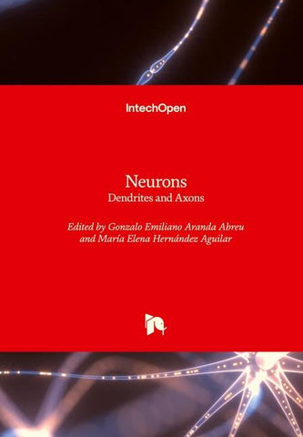 Neurons