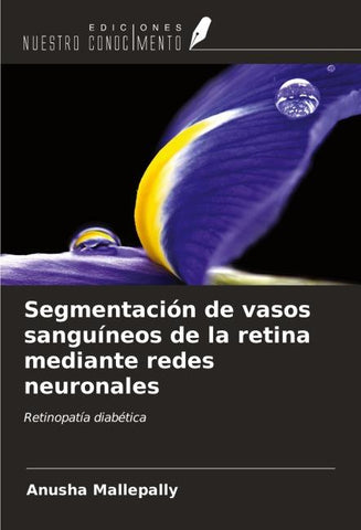 Segmentación de vasos sanguíneos de la retina mediante redes neuronales