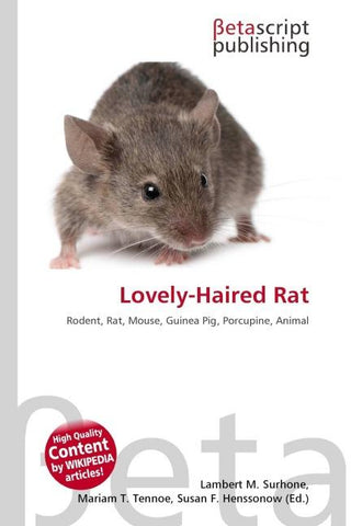Lovely-Haired Rat