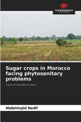 Sugar crops in Morocco facing phytosanitary problems