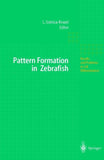 Pattern Formation in Zebrafish