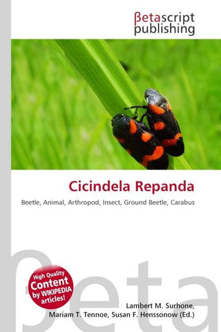 Cicindela Repanda