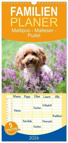 Familienplaner 2026 - Maltipoo - Malteser -Pudel mit 5 Spalten (Wandkalender, 21 x 45 cm) CALVENDO