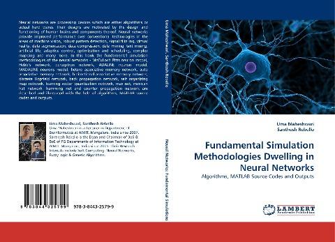 Fundamental Simulation Methodologies Dwelling in Neural Networks