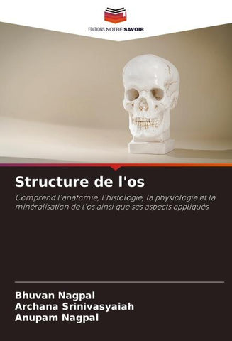 Structure de l'os