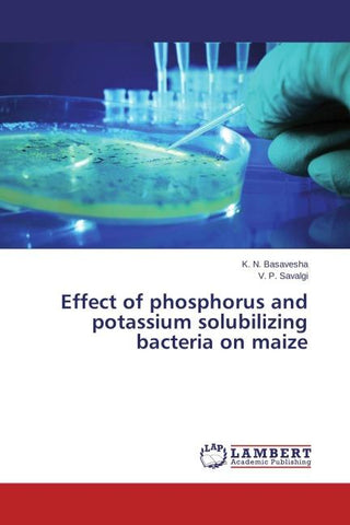 Effect of phosphorus and potassium solubilizing bacteria on maize