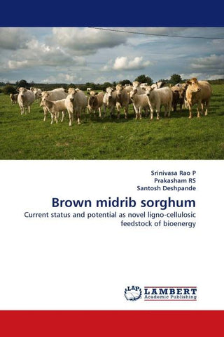 Brown midrib sorghum