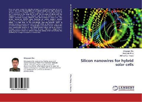 Silicon nanowires for hybrid solar cells