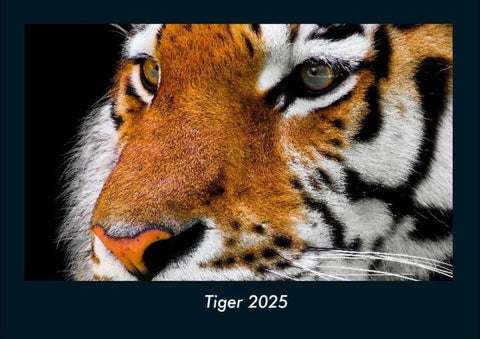 Tiger 2025 Fotokalender DIN A4