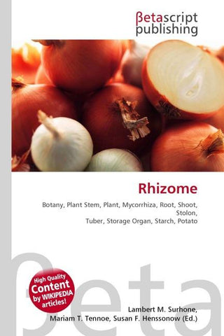 Rhizome