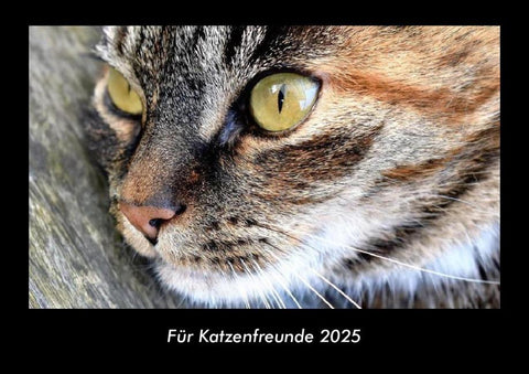 Für Katzenfreunde 2025 Fotokalender DIN A3