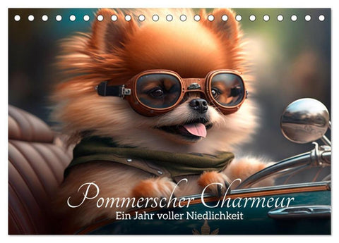 Pommerscher Charmeur Ein Jahr voller Niedlichkeit (Tischkalender 2026 DIN A5 quer), CALVENDO Monatskalender
