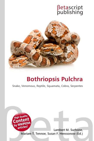 Bothriopsis Pulchra