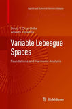 Variable Lebesgue Spaces