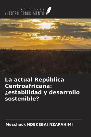 La actual República Centroafricana: ¿estabilidad y desarrollo sostenible?