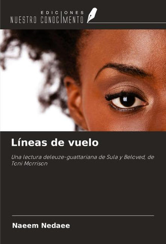 Líneas de vuelo
