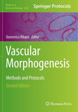 Vascular Morphogenesis