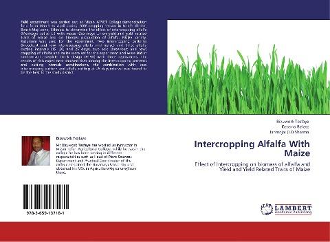 Intercropping Alfalfa With Maize