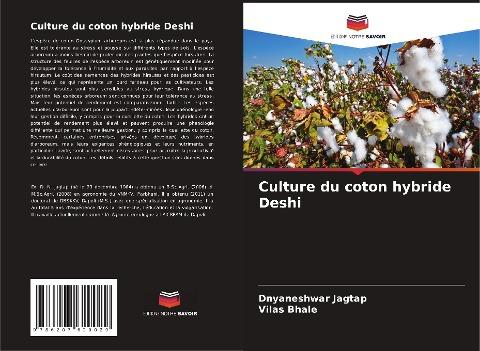 Culture du coton hybride Deshi