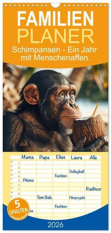 Familienplaner 2026 - Schimpansen - Ein Jahr mit Menschenaffen. mit 5 Spalten (Wandkalender, 21 x 45 cm) CALVENDO