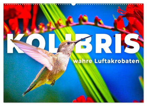 Kolibris - wahre Luftakrobaten (Wandkalender 2026 DIN A2 quer), CALVENDO Monatskalender