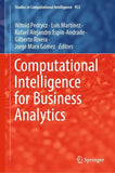 Computational Intelligence for Business Analytics