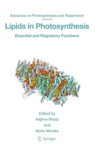 Lipids in Photosynthesis