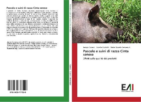 Pascolo e suini di razza Cinta senese