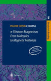 π-Electron Magnetism