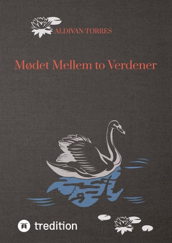 Mødet Mellem to Verdener