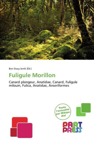 Fuligule Morillon