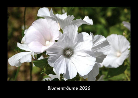 Blumenträume 2026 Fotokalender DIN A3