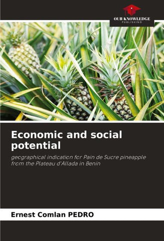 Economic and social potential