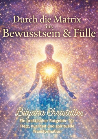 Durch die Matrix ins Bewusstsein & in die Fülle