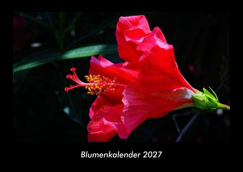 Blumenkalender 2027 Fotokalender DIN A3