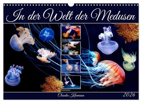 In der Welt der Medusen (Wandkalender 2026 DIN A3 quer), CALVENDO Monatskalender