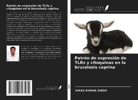 Patrón de expresión de TLRs y citoquinas en la brucelosis caprina