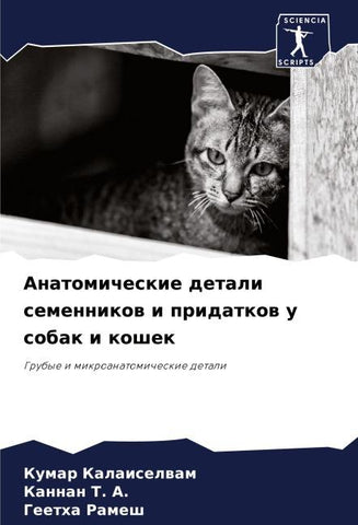 Anatomicheskie detali semennikow i pridatkow u sobak i koshek