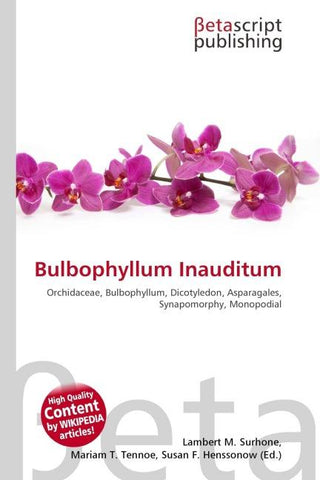 Bulbophyllum Inauditum