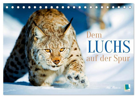 Dem Luchs auf der Spur (Tischkalender 2026 DIN A5 quer), CALVENDO Monatskalender