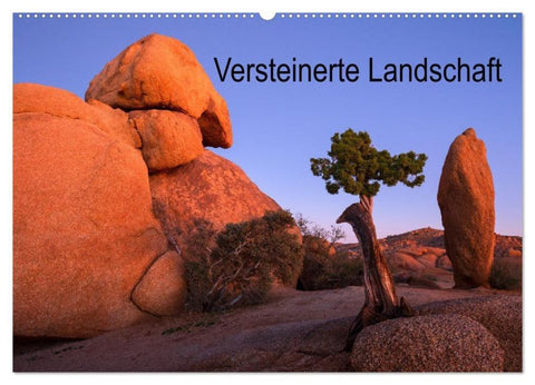 Versteinerte Landschaft (Wandkalender 2026 DIN A2 quer), CALVENDO Monatskalender