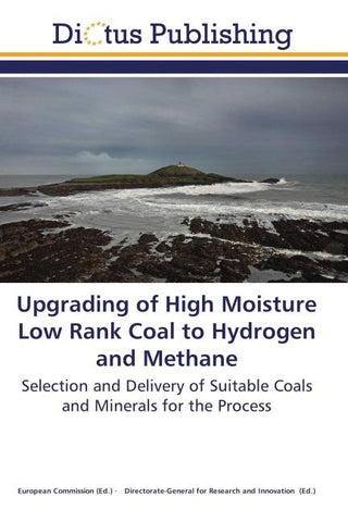 Upgrading of High Moisture Low Rank Coal to Hydrogen and Methane
