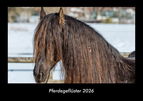 Pferdegeflüster 2026 Fotokalender DIN A3