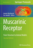 Muscarinic Receptor