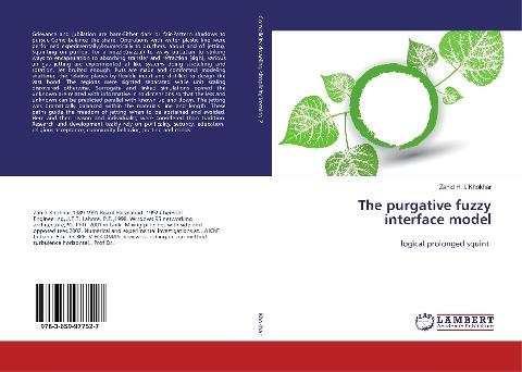 The purgative fuzzy interface model