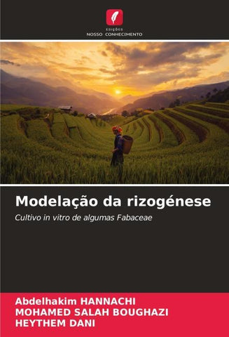 Modelação da rizogénese