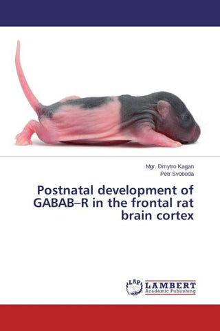 Postnatal development of GABAB-R in the frontal rat brain cortex